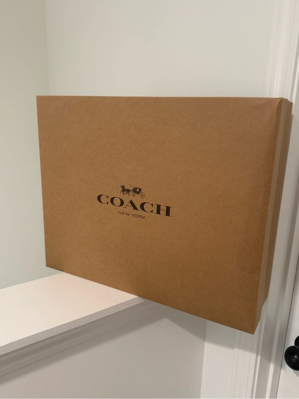 Coach Chelsea 36 in Suede Clay - NWT